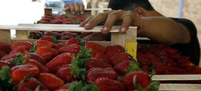 Δεν είμαστε όλοι μετανάστες. Του Αδάμου Ζαχαριάδη Δεν είμαστε όλοι μετανάστες. Του Αδάμου Ζαχαριάδη