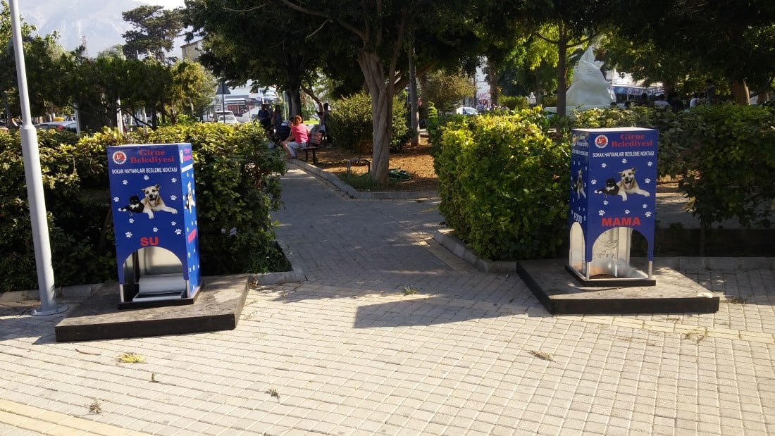 Μια οικογένεια Ελληνοκυπρίων στην Κερύνεια. Του Γιάννη Μαρθάρη
