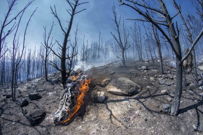 Η διαχείριση κρίσεων απαιτεί συντονισμό και έγκαιρη παρέμβαση. Του Νεοκλή Συλικιώτη Η διαχείριση κρίσεων απαιτεί συντονισμό και έγκαιρη παρέμβαση. Του Νεοκλή Συλικιώτη
